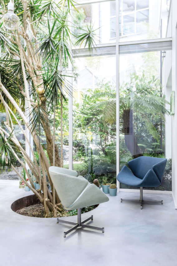 Brutex Frisco 2016 05