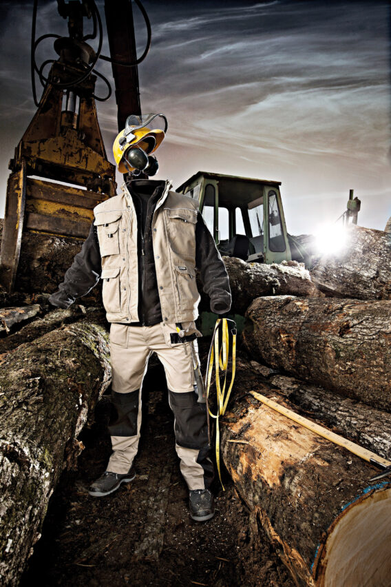 Dassy BEIGE LOGGING INDUSTRY
